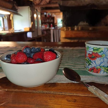 Anni Tourism Farm Villa Tammese Buitenkant foto