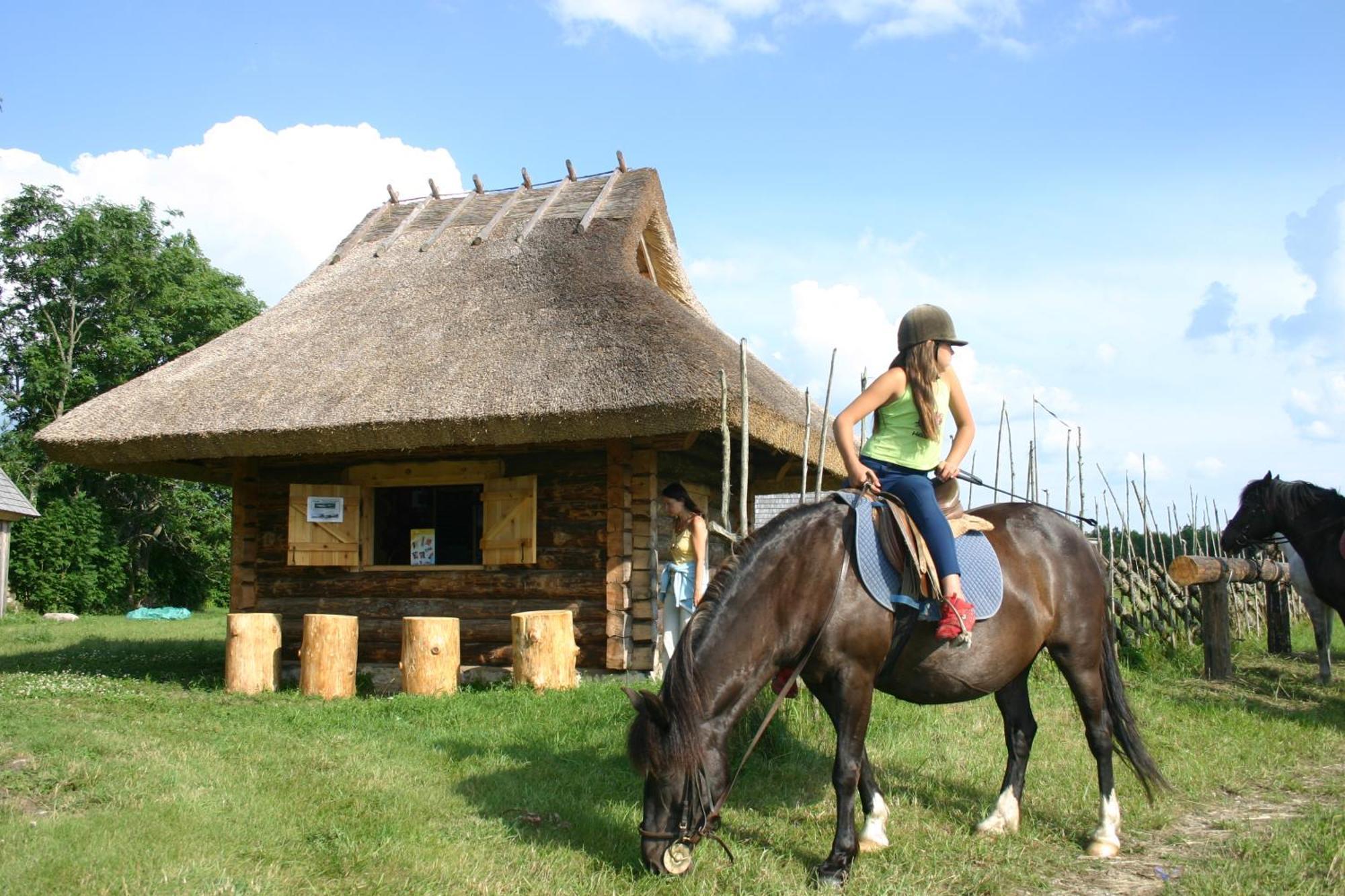Anni Tourism Farm Villa Tammese Buitenkant foto