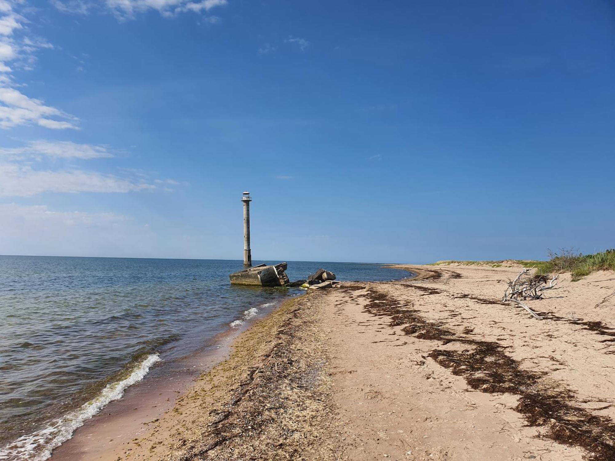 Anni Tourism Farm Villa Tammese Buitenkant foto