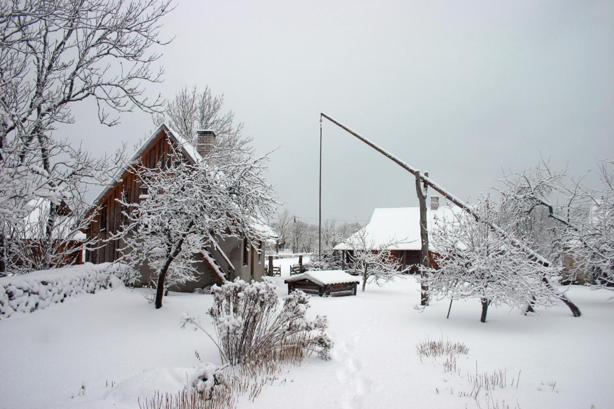 Anni Tourism Farm Villa Tammese Buitenkant foto