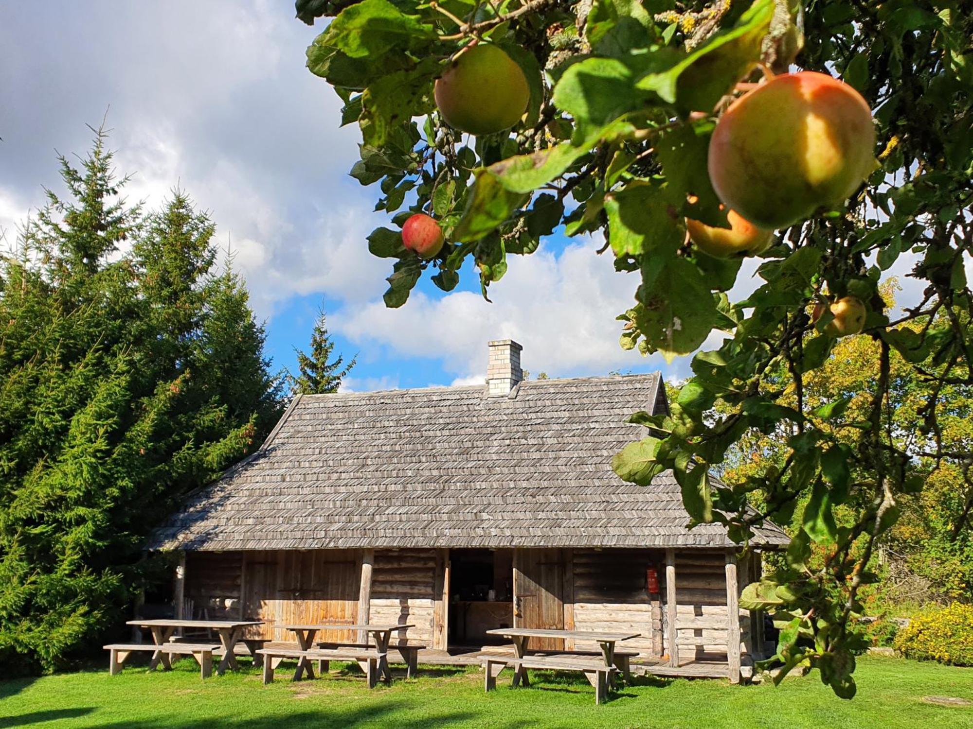 Anni Tourism Farm Villa Tammese Buitenkant foto