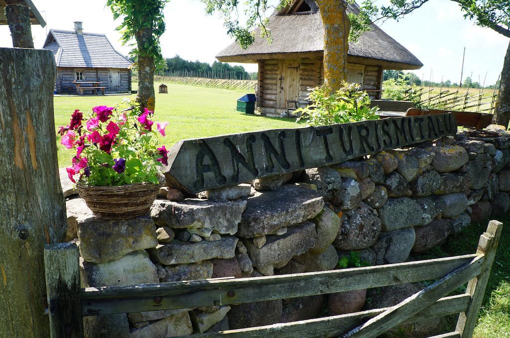 Anni Tourism Farm Villa Tammese Buitenkant foto